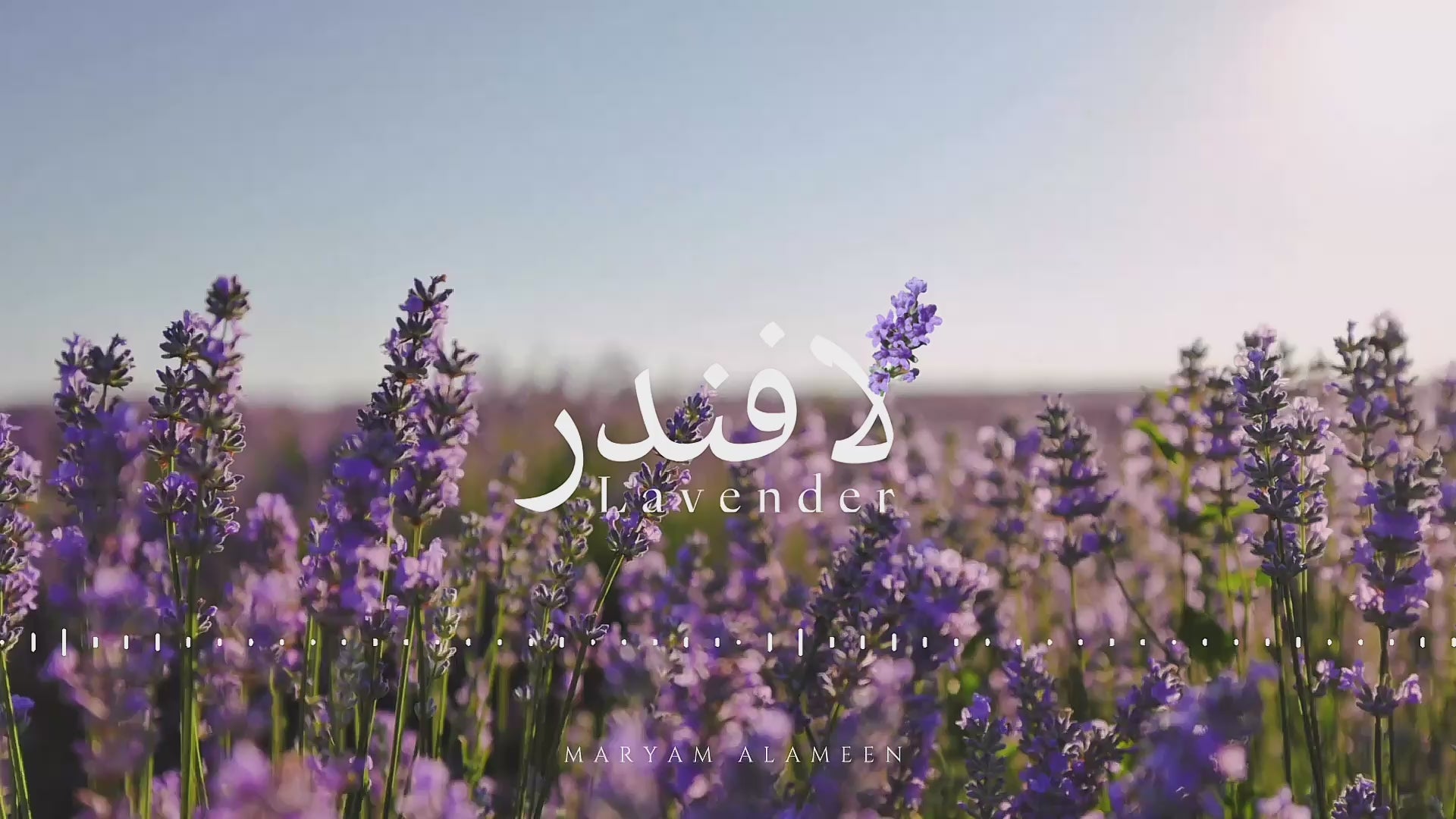 تحميل الفيديو: 